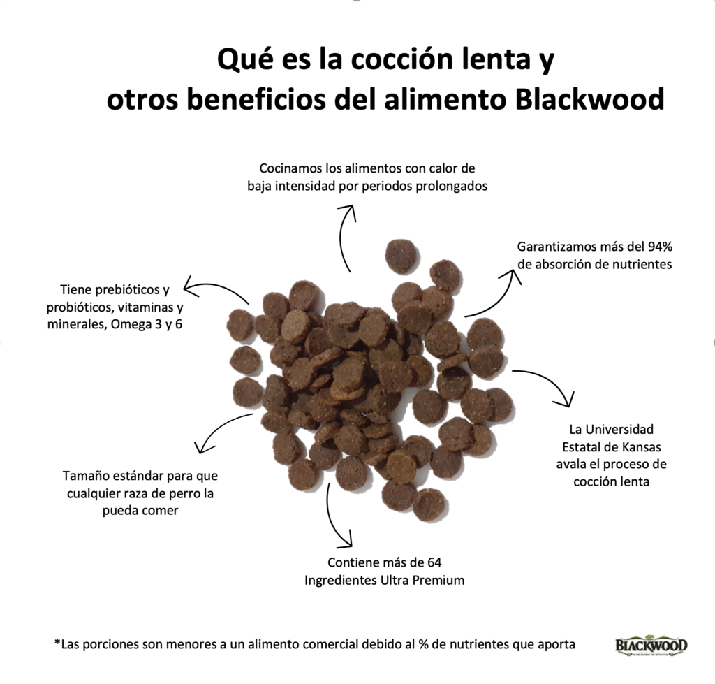 croquetas blackwood 2000