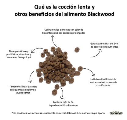 croquetas para gatito blackwood