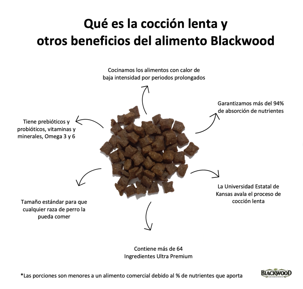 croquetas libre de granos blackwood
